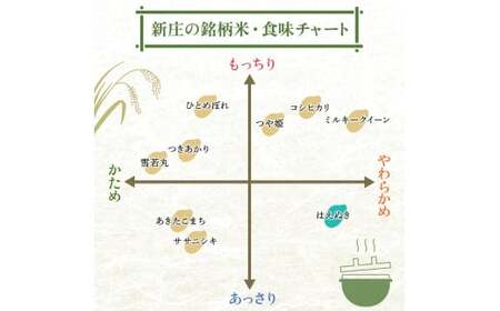 令和7年産 ＜定期便 3回＞ 山形県産 はえぬき 精米 10kg （5kg×2）【最上ノ米蔵】 F3S-2488
