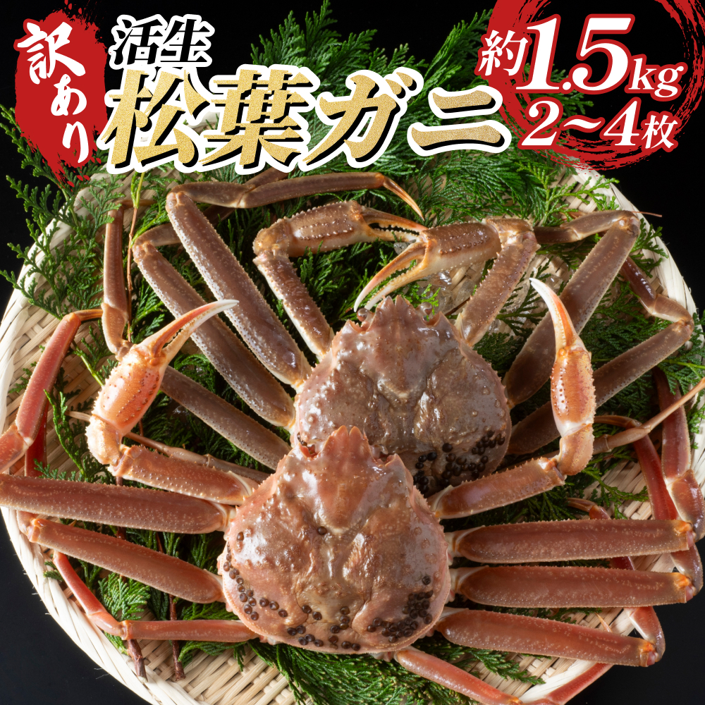 【22010-2】訳あり松葉がに（生）鳥取 岩美町 松葉ガニ ずわいがに ※お届けは2026年11月中旬～
