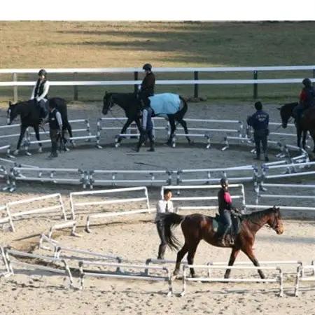 乗馬体験 (30分) 2回スキルUPコースご利用券(装具レンタル込み)施設見学案内付き【1507329】