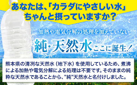 熊本イオン純天然水 ラベルレス 2L×20本 《3-7営業日以内に出荷予定(土日祝除く)》2l 水 飲料水 ナチュラルミネラルウォーター 熊本県 玉名郡 玉東町 完全国産 天然水 くまモン パッケージ