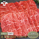 【ふるさと納税】【牧場直送】佐賀牛 赤身焼肉用（希少部位2種）300g（150g×2パック）【有限会社セントラル牧場】小分け 黒毛和牛 肉 お肉 牛肉 焼き肉 BBQ 冷凍 [IAH062]