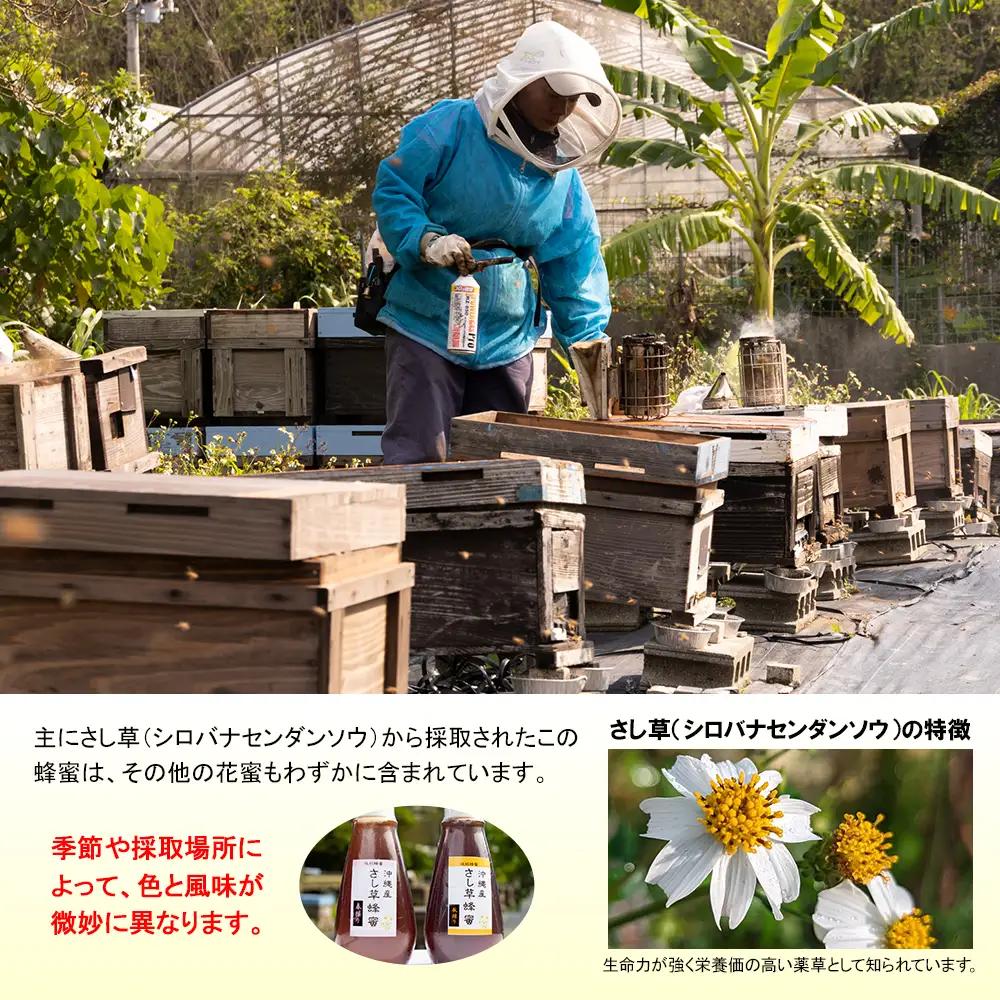 純粋蜂蜜　沖縄産　さし草蜂蜜　秋採り　250g　南風原町採取
