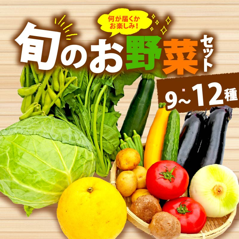
            野菜 詰め合わせ おまかせ 野菜詰合せ （9～12種） 野菜 詰合せ 9～12種  旬 まんさいかん ボックス 静岡県 藤枝市 (人気野菜 ふるさと納税野菜 ふるさと野菜 furusato野菜 おすすめ野菜 送料無料野菜 静岡県 藤枝市 ）
          