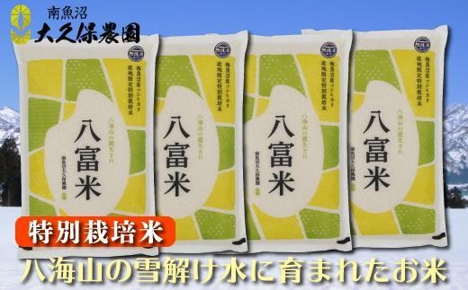 
            【令和７年産新米】南魚沼産コシヒカリ　八富米　農薬7割減の特別栽培米　八海山の雪解け水が育むお米　無洗米2０ｋｇ
          