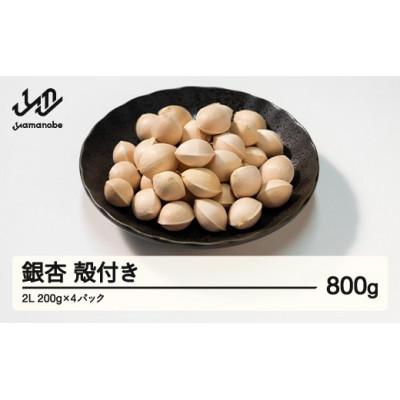 ふるさと納税 山辺町 【先行受付】殻付き銀杏 (ぎんなん)【2L】 約800g(200g×4パック)
