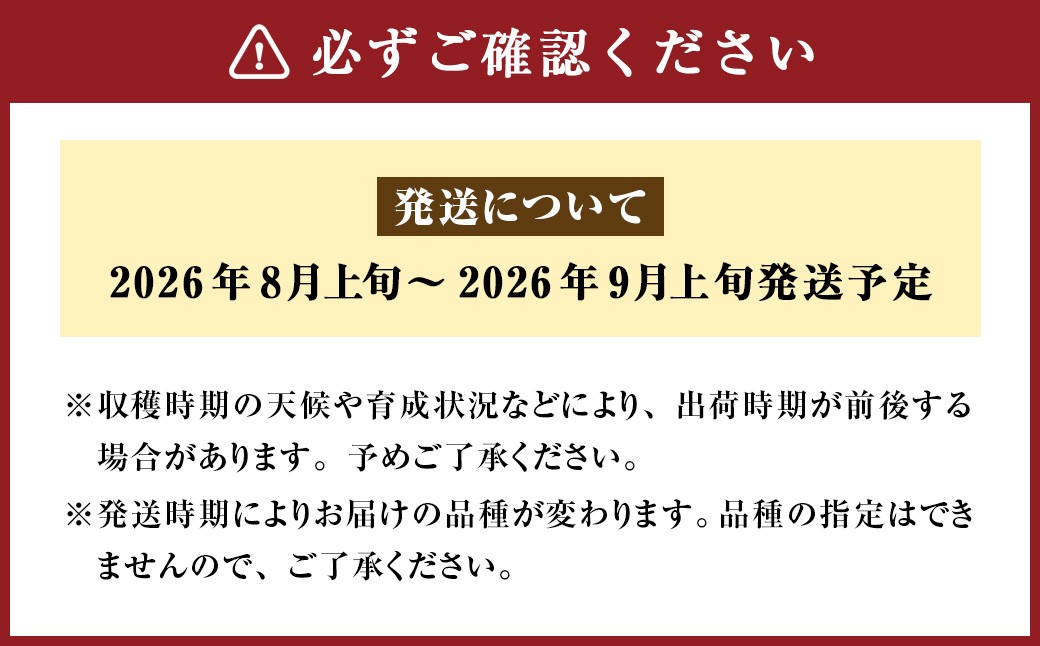 【ご家庭用】 九重町産 梨 詰め合わせ 約3kg （約6～8個）