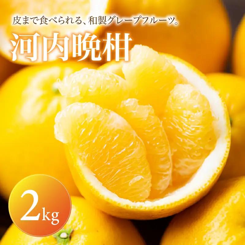 河内晩柑 家庭用 2kg 【2027年4月上旬頃から順次発送】 | みかん ミカン mikan 蜜柑 訳ありフルーツ 柑橘 果物 おすすめ お勧め お取り寄せ ギフト 愛媛県 松山市 【MKN058】