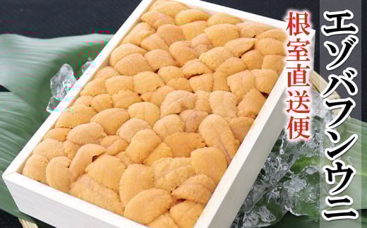 B-53015【年内配送可】 エゾバフンウニ140g×1折[11月中旬以降順次発送]