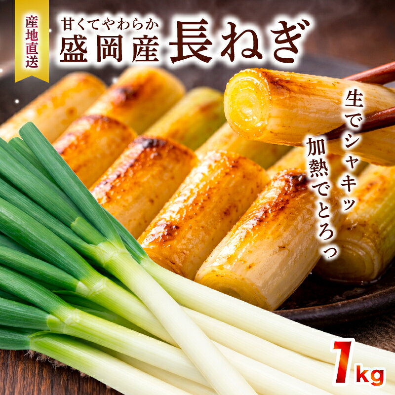 【ふるさと納税】 長ネギ 選べる 容量 1kg〜5kg 盛岡市産 ねぎ 白ネギ 葱 野菜 新鮮 国産 産地直送 農家直送 1kg 2kg 3kg 4kg 5kg ながねぎ 白ねぎ 旬の野菜 旬 甘い 美味しい おいしい 鍋 岩手県 盛岡市 東北 岩手 盛岡 滝澤農園