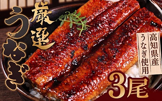 
                  厳選 国産 うなぎ 3尾 蒲焼 かばやき 蒲焼き 高知県産 ウナギ 鰻 人気 ランキング 大人気 蒲焼きうなぎ ふるさと納税うなぎ 美味しい 惣菜 簡単調理 冷凍 秘伝のタレ 土用の丑の日 丑の日 ヤマジュウ 高知県 室戸市
                