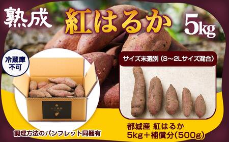 先行受付!【12月お届け】【農家直送】山下農園　熟成紅はるか 5kg_LF-I701-12_(都城市) 都城産 紅はるか S～2Lサイズ混合 山下農園 さつまいも兄弟 長期熟成 甘い