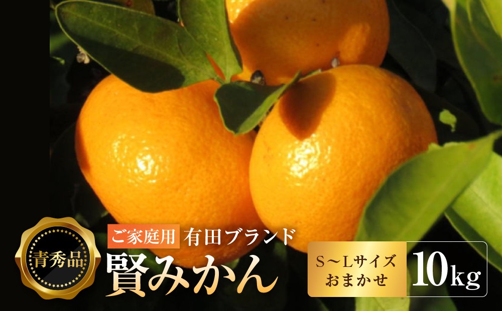 有田のブランド「賢みかん」10kg(S～Lサイズおまかせ）ご家庭用［2026年11月中旬頃より順次発送］ BZ078