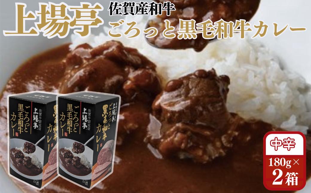 
            ごろっと黒毛和牛カレー 佐賀牛 カレー ビーフカレー レトルト 湯煎 レンジ調理 簡単 ：A080-011
          