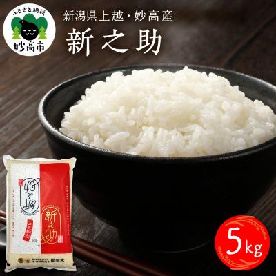 ふるさと納税 妙高市 2025年9月上旬発送　新潟県上越妙高産 新之助 5kg