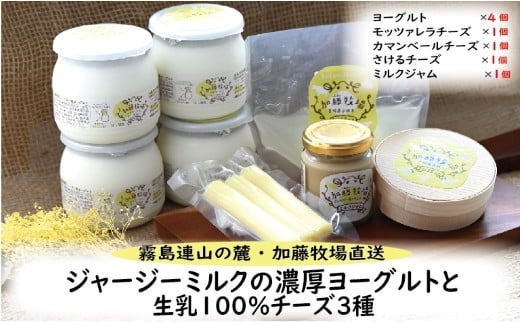 【霧島連山の麓・加藤牧場直送】ジャージーミルクの濃厚ヨーグルトと生乳100％チーズ３種（国産 ナチュラルチーズ ヨーグルト 乳製品 牛乳 チーズ コンテスト受賞 人気 霧島 宮崎 小林市 地域限定）