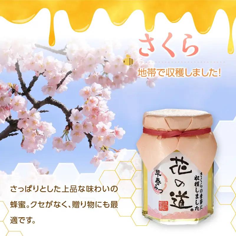 国産純粋蜂蜜 早春みつ 140g 非加熱 はちみつ ハチミツ 生はちみつ ローハニー オススメ 贈答 贈り物 プレゼント 八女市 183-017