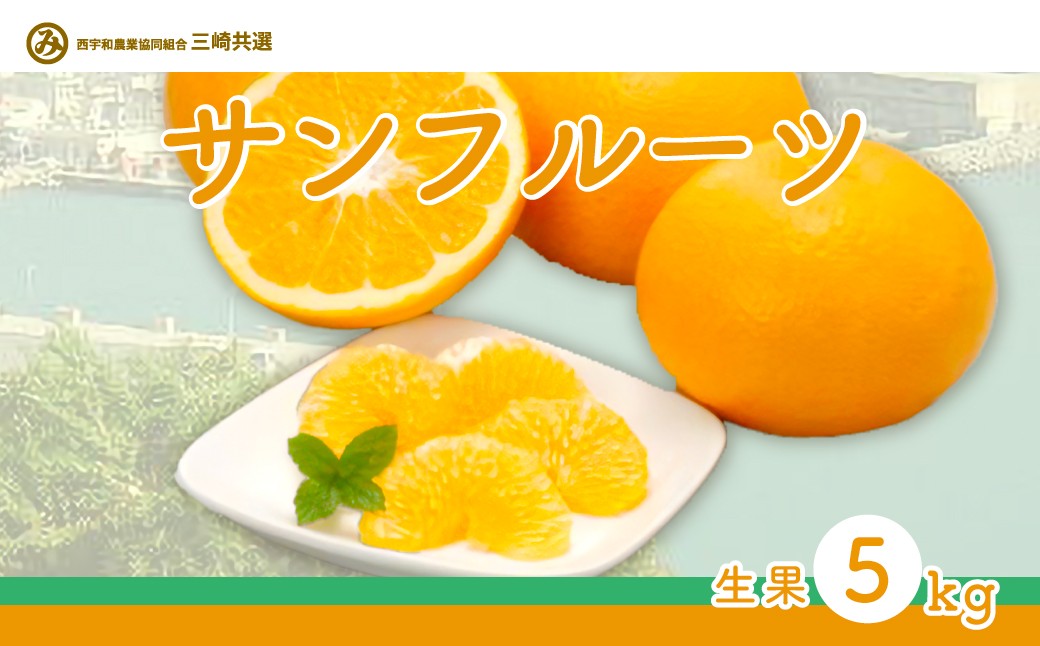 
                  【先行予約】サンフルーツ（生果5kg）※離島への配送不可（2027年2月上旬～3月上旬頃より順次発送） 【 ふるさと納税 人気 おすすめ ランキング 柑橘 みかん ミカン サンフルーツ mikan 蜜柑 果物 生果 フルーツ 愛媛県産 愛媛県 伊方町 送料無料 】 IKTBD013
                