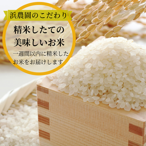 【2025年9月順次発送】令和7年産 新米 白米 3kg 特別栽培米 コシヒカリ コシヒカリ コシヒカリ コシヒカリ コシヒカリ