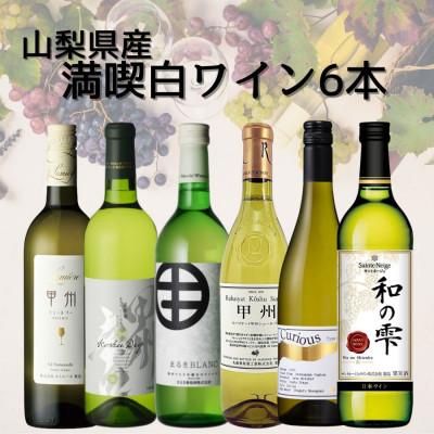 ふるさと納税 山梨県 山梨県産ワイン満喫白6本セット(3)007