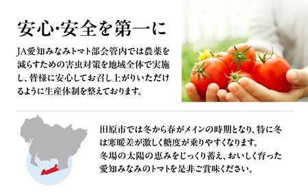 渥美半島産 丸玉トマト 4kg　|トマト とまと サラダ サンドイッチ 野菜 やさい 贈答 プレゼント 贈り物 甘い おいしい 冬 春 JA 農協 JA愛知みなみ