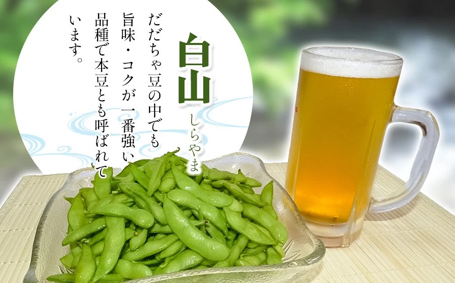 【令和8年産先行予約】【鶴岡の夏の旬を伝える】 小池農園のだだちゃ豆 【白山】 1.8kg（600g×3袋）　k-832