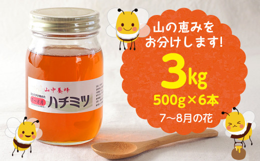 【自然のまま】富津産ハチミツ（7～8月の花）500g×6本 計3kg