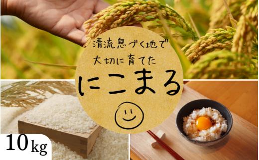 秘境の地からお届けする あゆみファームのお米 にこまる 10kg【2025年10月下旬頃から順次発送】/ 米 お米 にこまる 10kg 精米 和歌山【aym014】