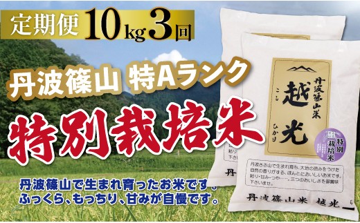 〈定期便 特Aランク 減農薬〉令和7年産 丹波篠山産 特別栽培米 コシヒカリ 越光  【 10kg ( 5kg × 2袋 ) 3回 】 | 丹波篠山 お米 おこめ ブランド米 ごはん ご飯 白米 米 コメ こめ 精米 精白米 おいしい米 美味しいお米 兵庫県 お取り寄せ こしひかり コシヒカリ