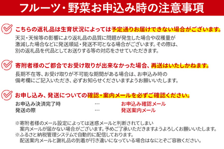 博多とよみつひめ 1,000g（４パック）【2025年8月～9月に発送予定】 CD23