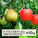 【ふるさと納税】先行予約 ラ・フランス サンふじ セット ご家庭用 約10kg 各約5kg 各1箱 計2箱 洋梨 りんご 2025年産 山形県産 ※沖縄・離島への配送不可 送料無料 tf-fslrx5