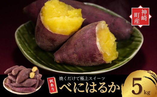 ＼焼き芋ファン必見！／ 神崎町産 べにはるか 訳あり さつまいも 5kg｜甘くてねっとり、無選別でご家庭向けにたっぷりサイズ♪  (3月～12月受付分は翌年1月中旬～3月中旬発送) さつま芋 焼き芋 焼きいも イモ 芋 紅はるか 訳アリ 干し芋 ほしいも 蜜芋 スイートポテト 大学芋 おやつ ねっとり しっとり 甘い 高糖度 [016-a009-2026]
