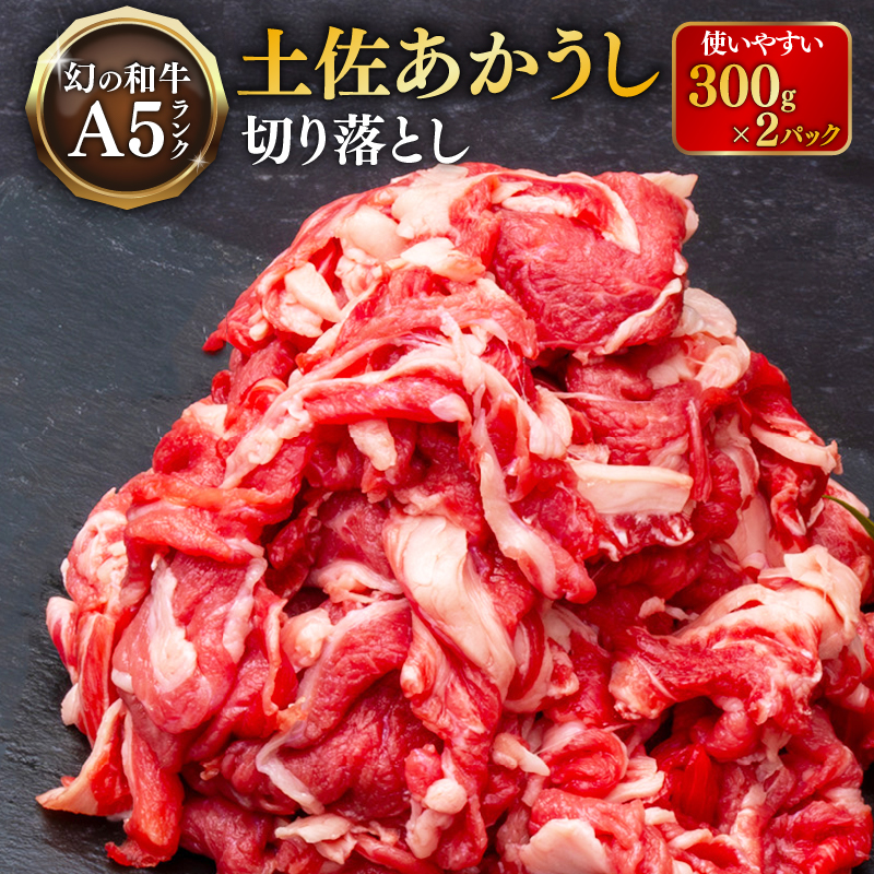 ｢土佐あかうし｣切り落とし600g 300×2パック 牛肉 和牛 切り落とし 600g 土佐あかうし 土佐 あかうし ブランド牛 国産 国産牛 人気 お取り寄せ 冷凍 BBQ バーベキュー 焼肉 焼き肉 贈答 高知 安田町 MT-01