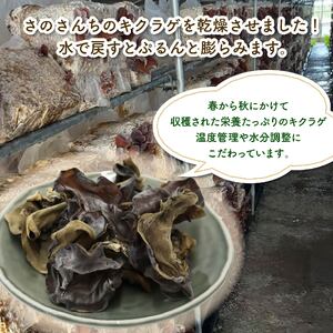 乾燥キクラゲ 25g 6袋 キクラゲ
