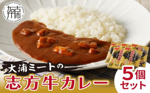 ★選べる配送月★ [9月発送] 大浦ミートの志方牛カレー 5個セット〈おすすめ カレー 人気 美味しい レトルト 牛肉 ビーフカレー セット 詰め合わせ お取り寄せ グルメ 送料無料〉【2400I00212-09】