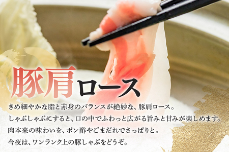 【冷蔵配送】A5飛騨牛・ボーノポーク 食べ比べセット【1.2kg】しゃぶしゃぶ すき焼き 牛肉 豚肉