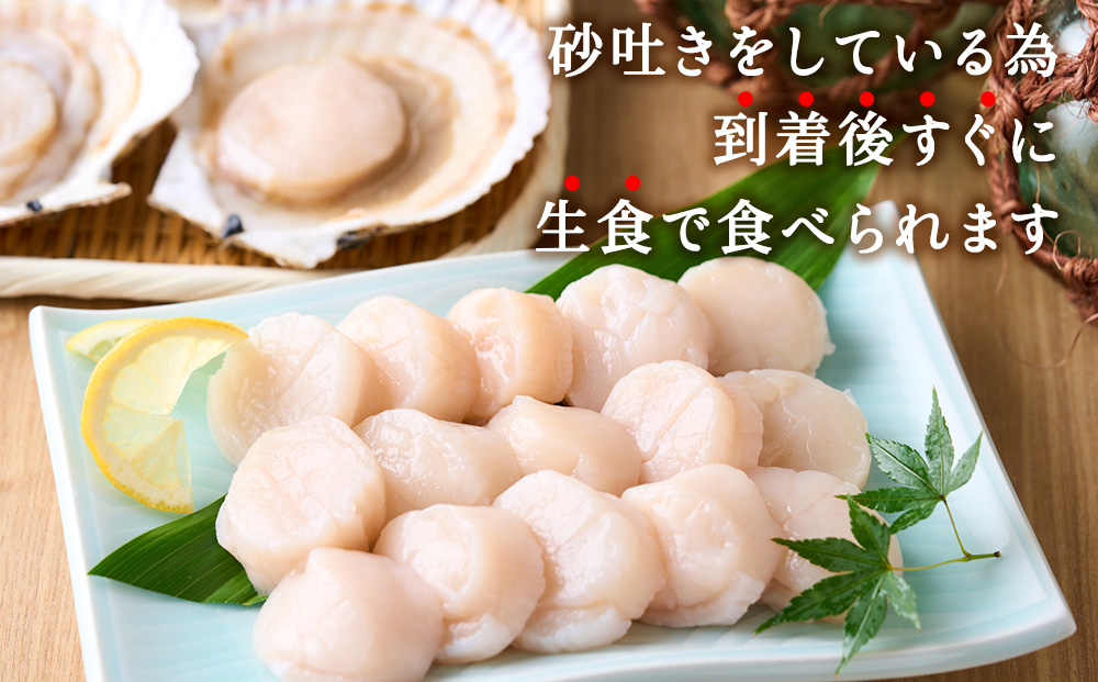 【先行受付】宗谷漁協発!産地直送!活ほたて約3kg（13～15枚入）