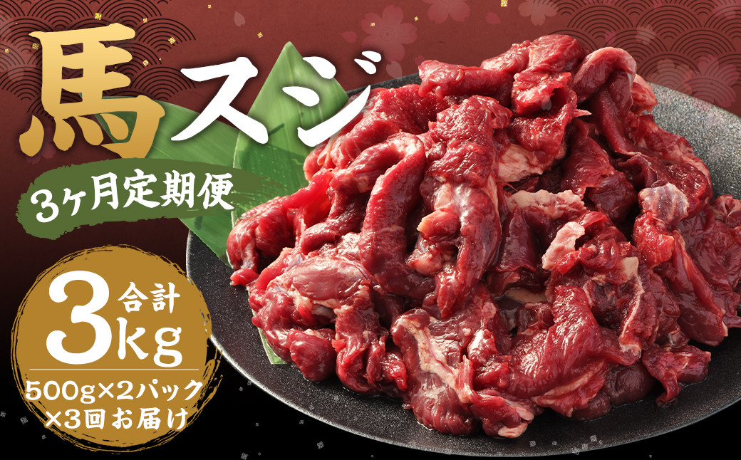 
【3ヶ月定期便】 馬スジ 1kg（500g×2）×3回 合計3kg 馬肉 馬スジ お肉 定期
