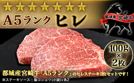 【福袋★2025】宮崎牛ヒレステーキ(A5)100g×2枚_18-0103-F2025_(都城市) 牛肉 牛ヒレステーキ用肉 A5等級 A5ランク 100g×2枚 真空パック ステーキソース 塩こしょ