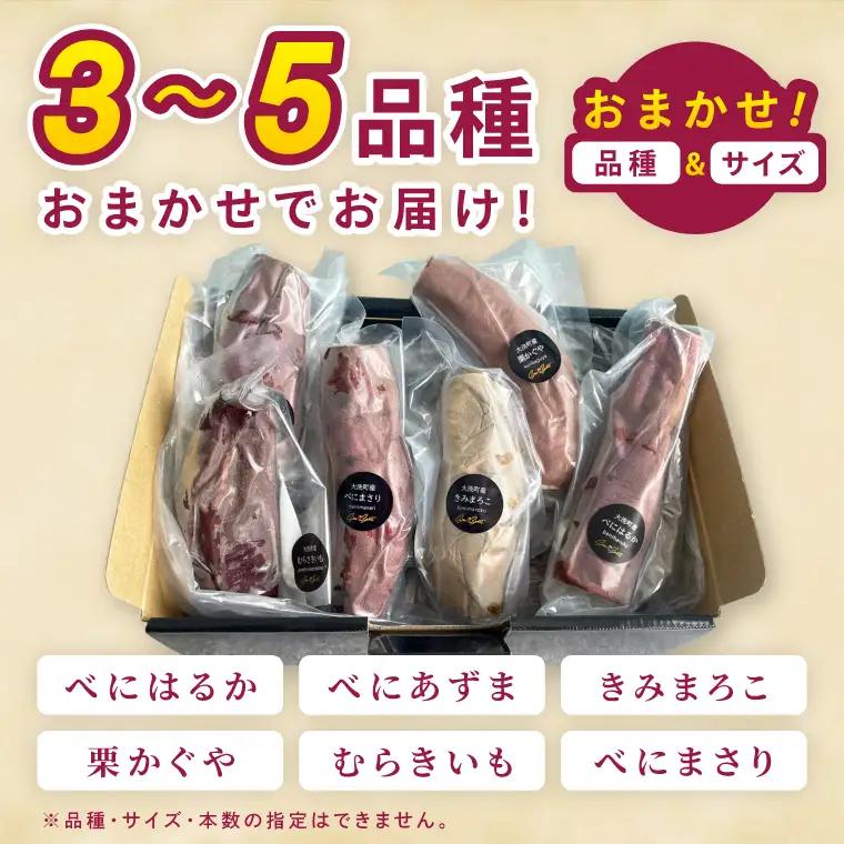 冷凍 焼き芋 品種おまかせ詰め合わせ 2.5kg さつまいも_CF003