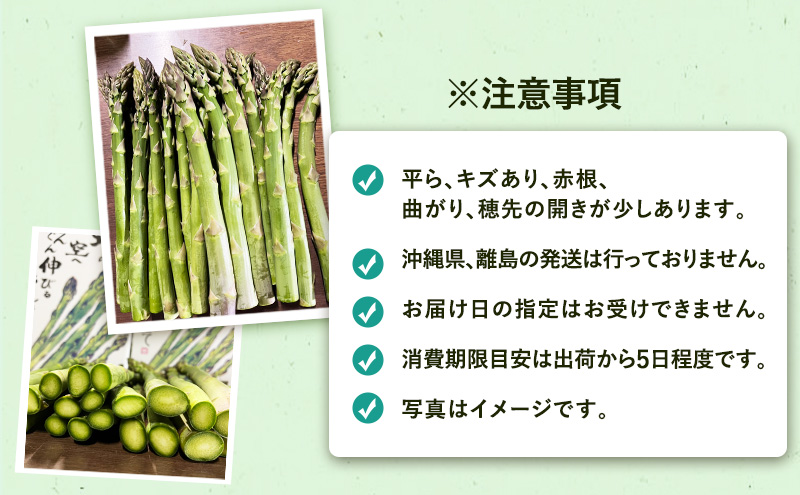 ［武田農園とれたて直送］訳あり グリーンアスパラ M～2Lサイズ混合 約2kg ご家庭用 やわらかくて抜群に甘い！北海道 富良野産 ( アスパラガス アスパラ 野菜 新鮮 産地直送 先行予約 限定 )