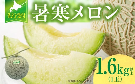 【令和6年産先行予約】北海道産 暑寒メロン 1玉 (1.6kg以上×1箱) 《2024年7月より発送予定》