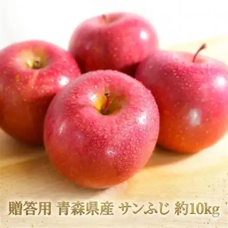 【26年11月から順次発送】平均糖度13度以上! サンふじ 約10kg 贈答 青森県産 りんご_果物・フルーツ りんご  リンゴ 林檎_【配送不可地域：沖縄県】【1611196】