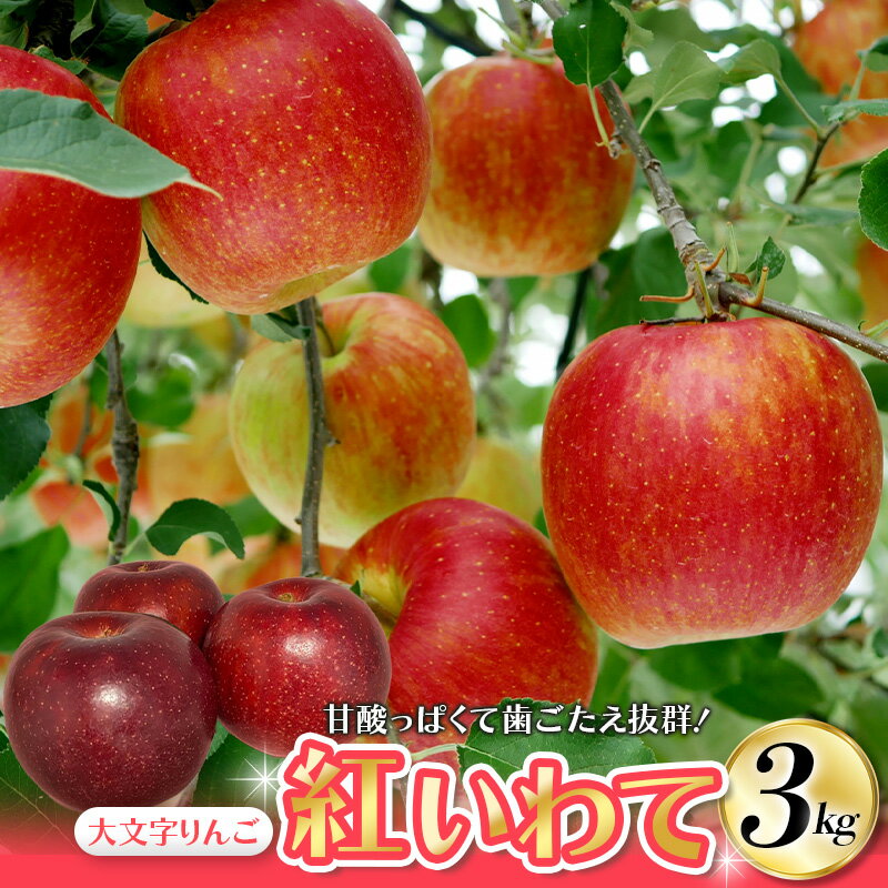 【ふるさと納税】 大文字りんご園 紅いわて 約3kg (7〜10玉) / 蜜 15000円 国産 樹上完熟 幻のりんご 林檎 果物 くだもの フルーツ 甘い 旬 産地直送 岩手県オリジナル品種 【2025年9月下旬頃より順次発送】