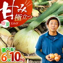 【ふるさと納税】【選べる容量】江北町産 たまねぎ 約6kg or 約10kg 【百武青果】 [HAE008] / 先行予約 野菜 やさい ヤサイ 新玉ねぎ 晩生 玉葱 玉ねぎ 玉ネギ タマネギ 佐賀県 佐賀 九州 送料無料