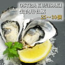 【ふるさと納税】牡蠣 生食用 殻付き Ostra Kunisaki 25 ～ 30個 （殻付き重量40～100g/個）