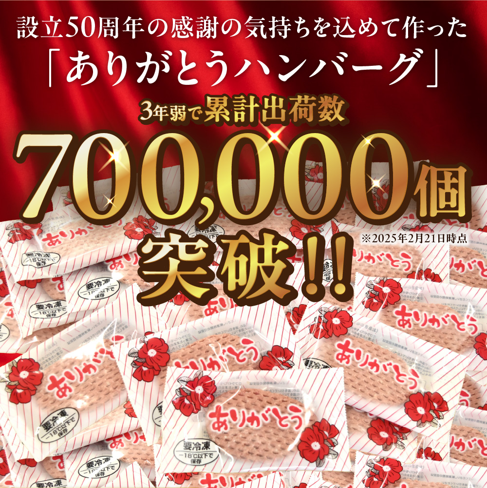 【定期便4回】北海道産ありがとうハンバーグ(90g×12個)定期便