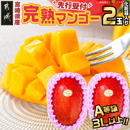 【先行受付!】宮崎県産完熟マンゴー(A等級) 【3L以上×2玉】化粧箱入り≪2025年5月中旬以降順次お届け≫_AE-0112
