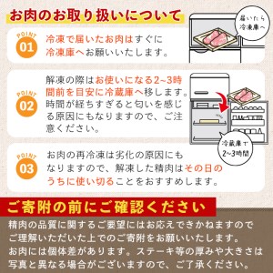 曽於さくら牛 ロース (スライス 500g・焼肉 500g：計1kg) 黒毛和牛 牛肉【福永産業】B8-v01