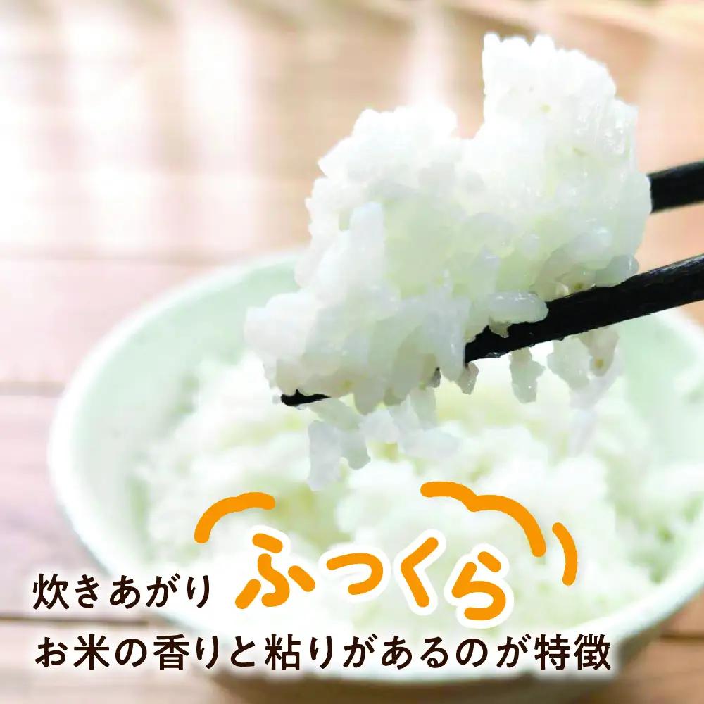 令和8年産 コシヒカリ白米 3kg / 米 新米 こしひかり ソイル