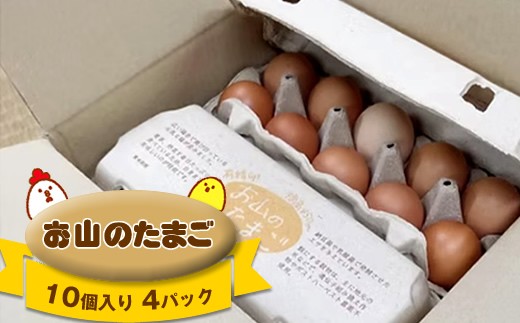 お山のたまご　１０個入り4パック【 たまご 神奈川県 山北町 】